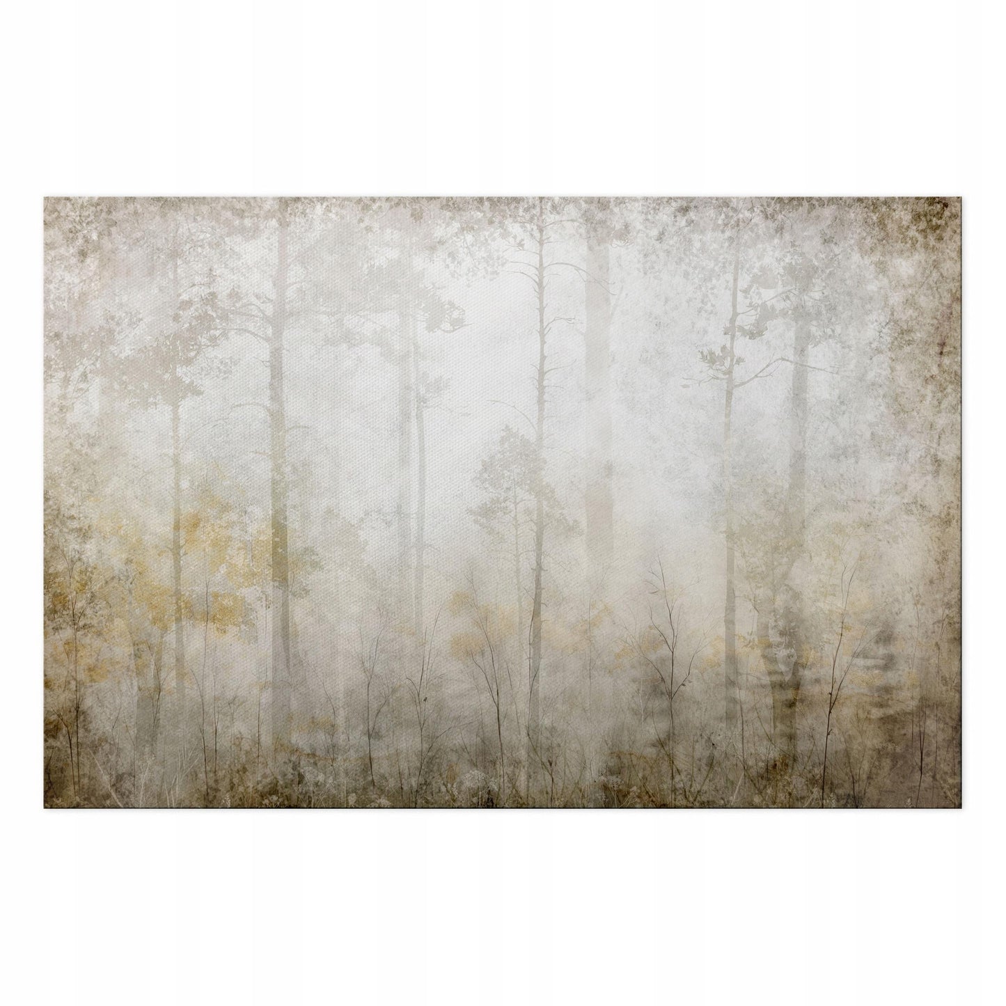 bd5252e332b84e2fc2ab2f894f8866a1