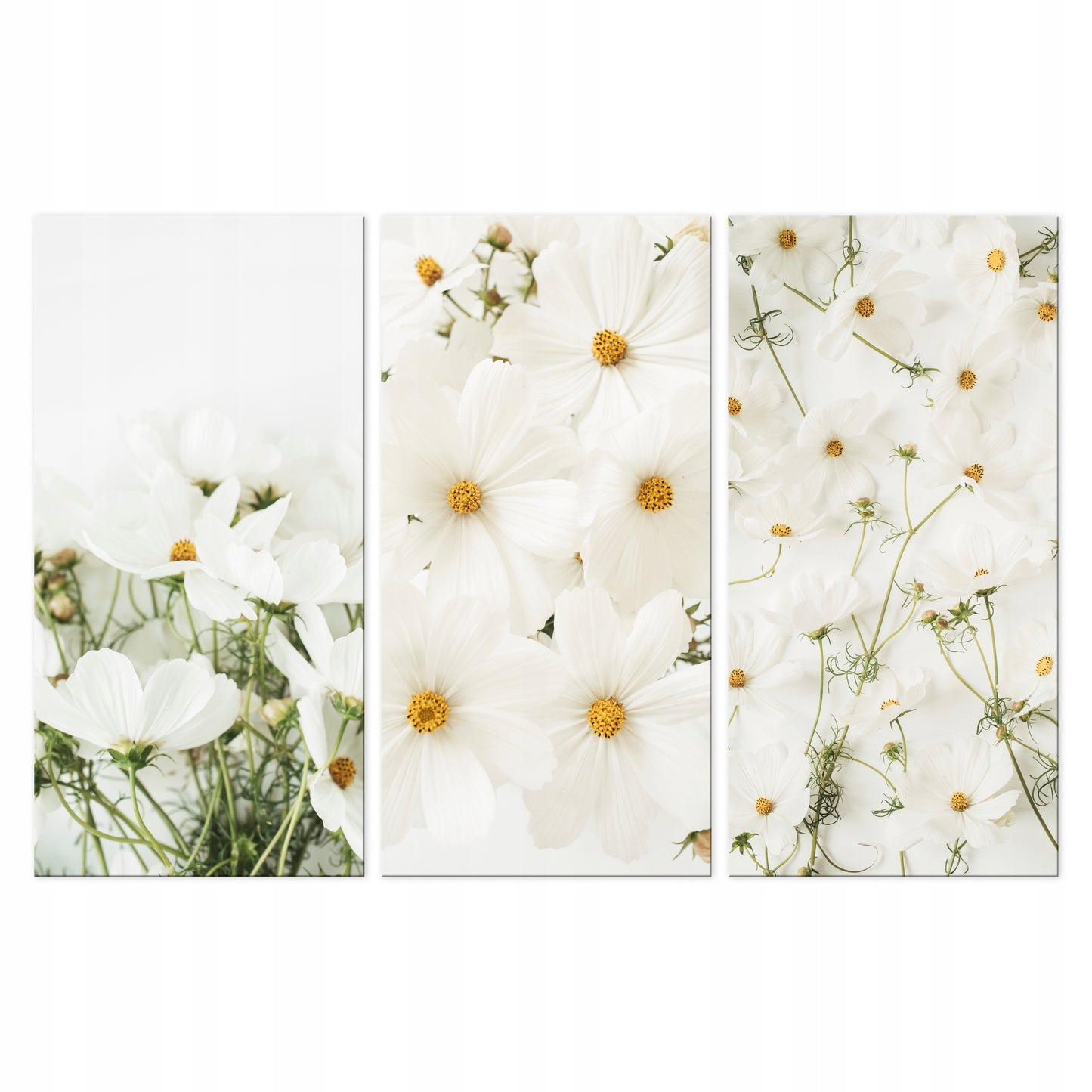 84ac9c7f686534e9ba36bada9f03ba6b