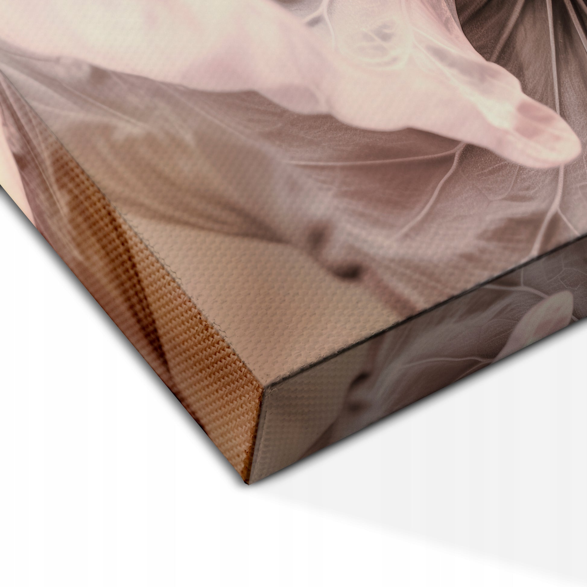 d417b54678fac371df22911ef9e5a1c2