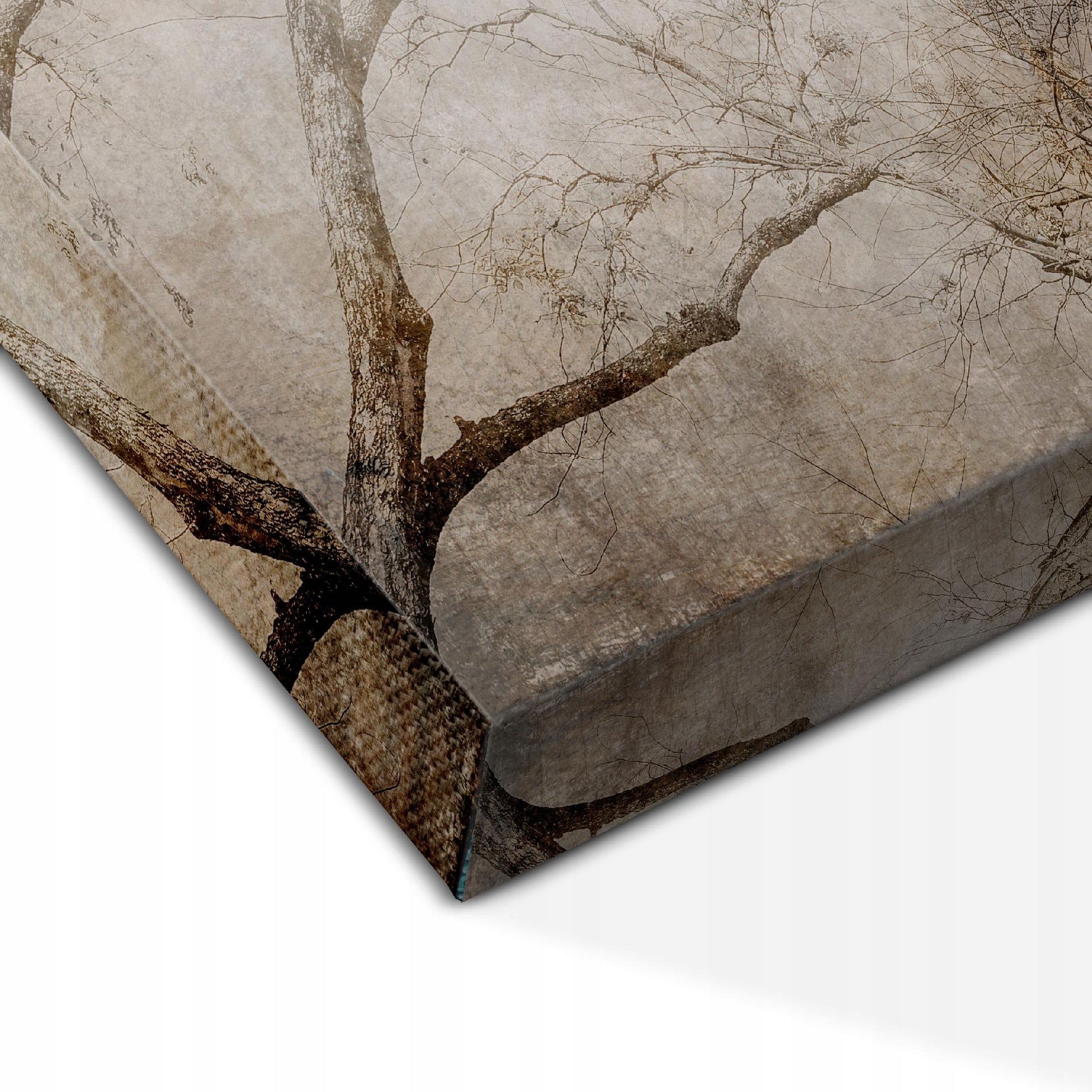 766220b7b232e248fe08948d9c7f55c6