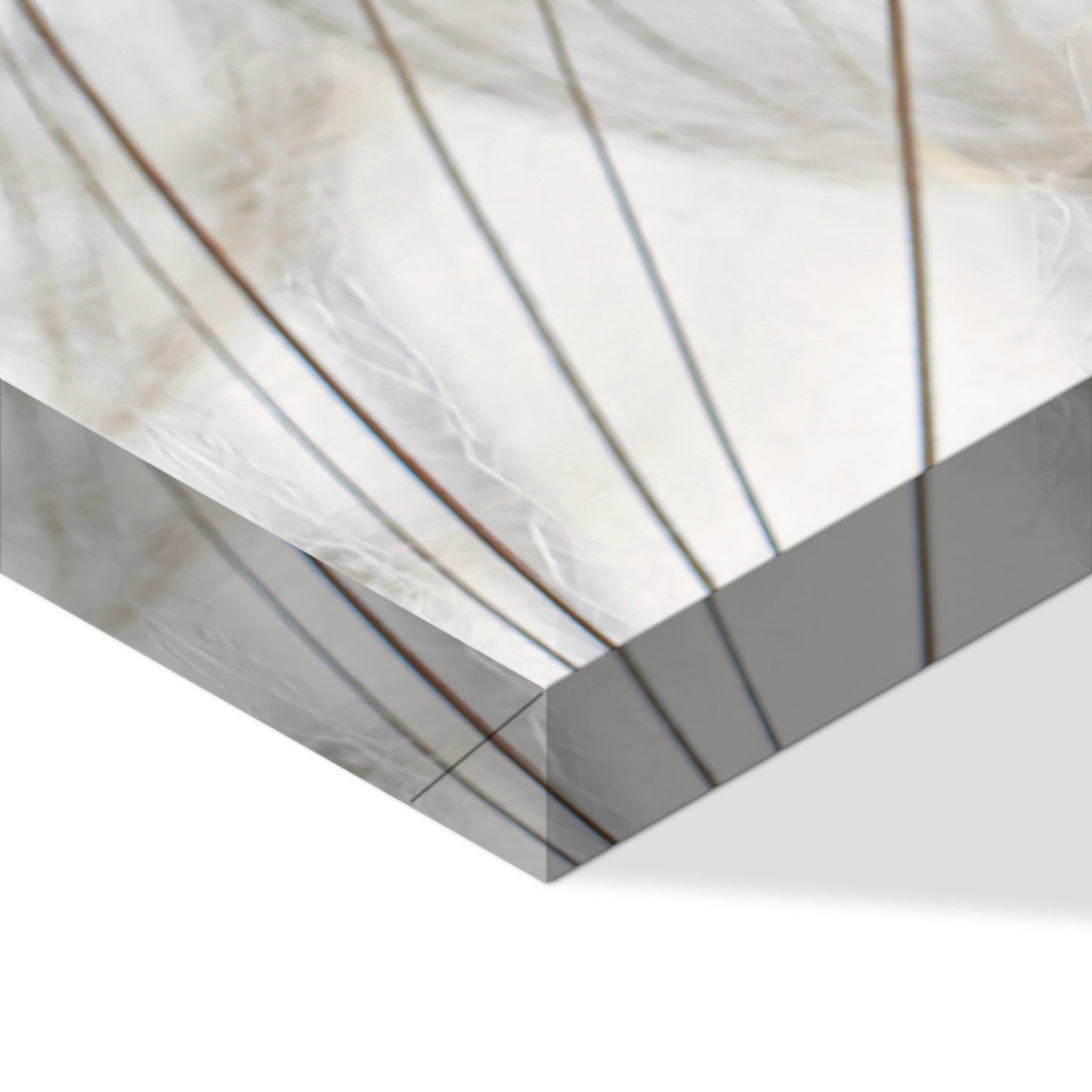 LUMASOUL Obraz 120x80 Kwiaty Eklektyczny