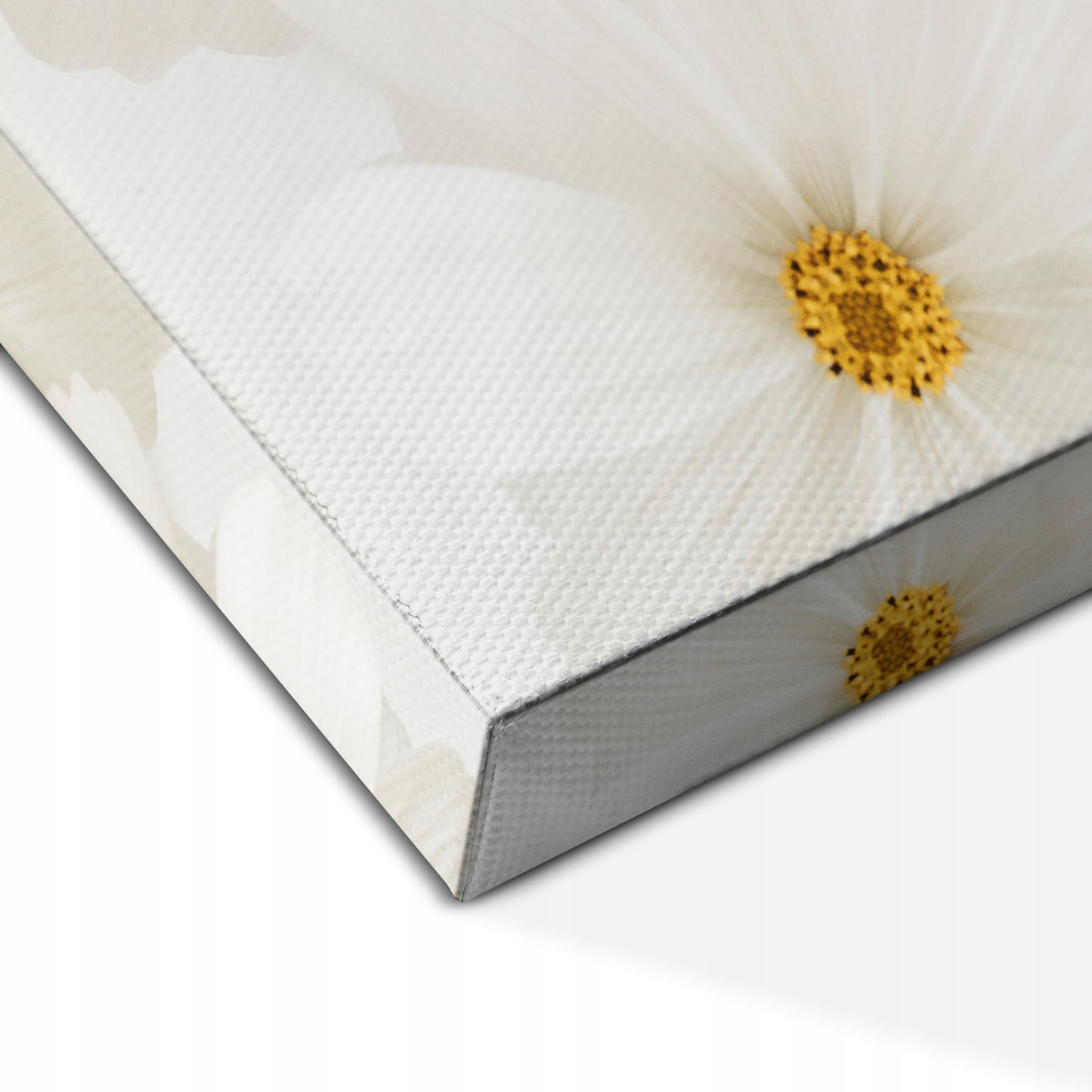 34932d706a6bf1458e5afe6f688e6a67