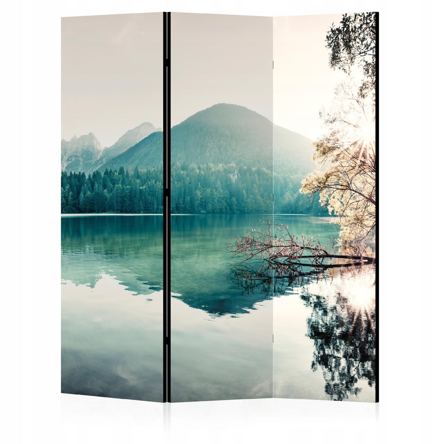 d6571fade6946ed529945807aae5fe7e