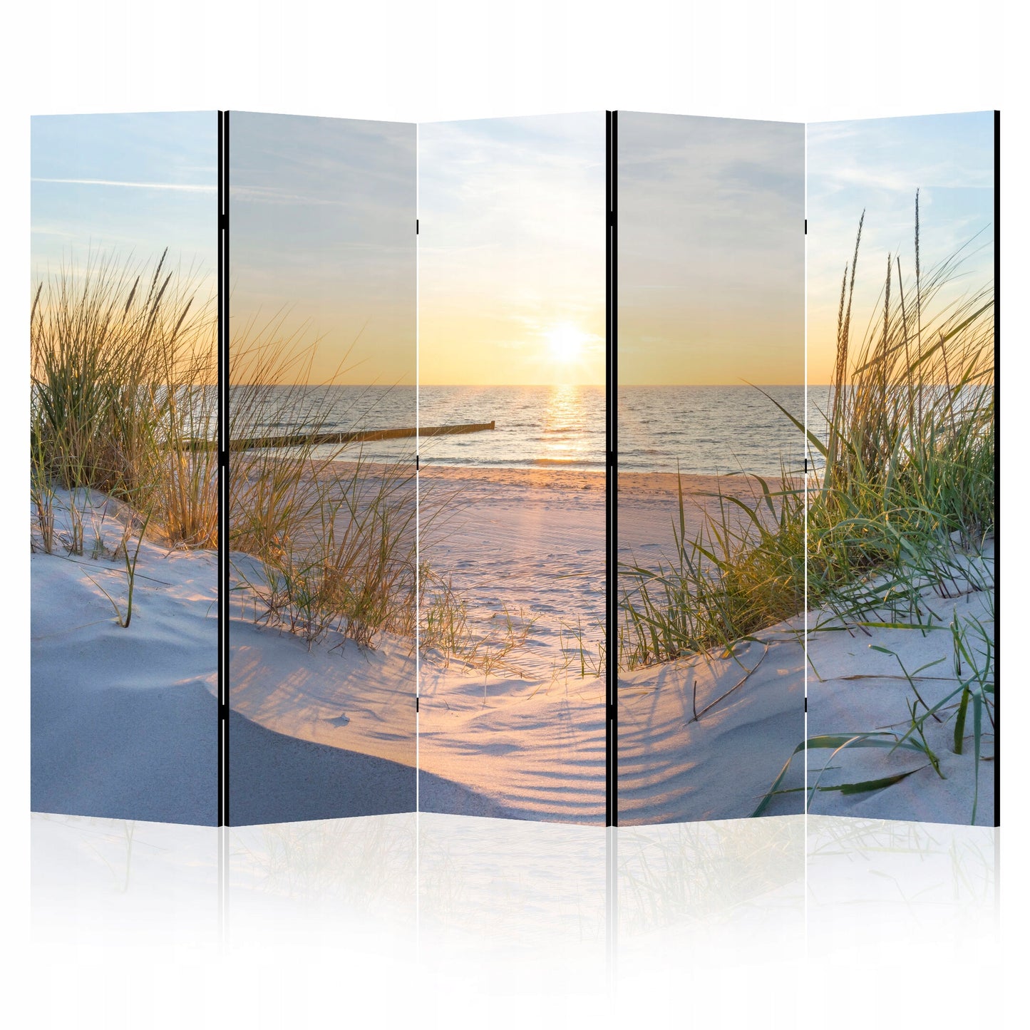 1aed9b374a2310d2643ea76063cbb614