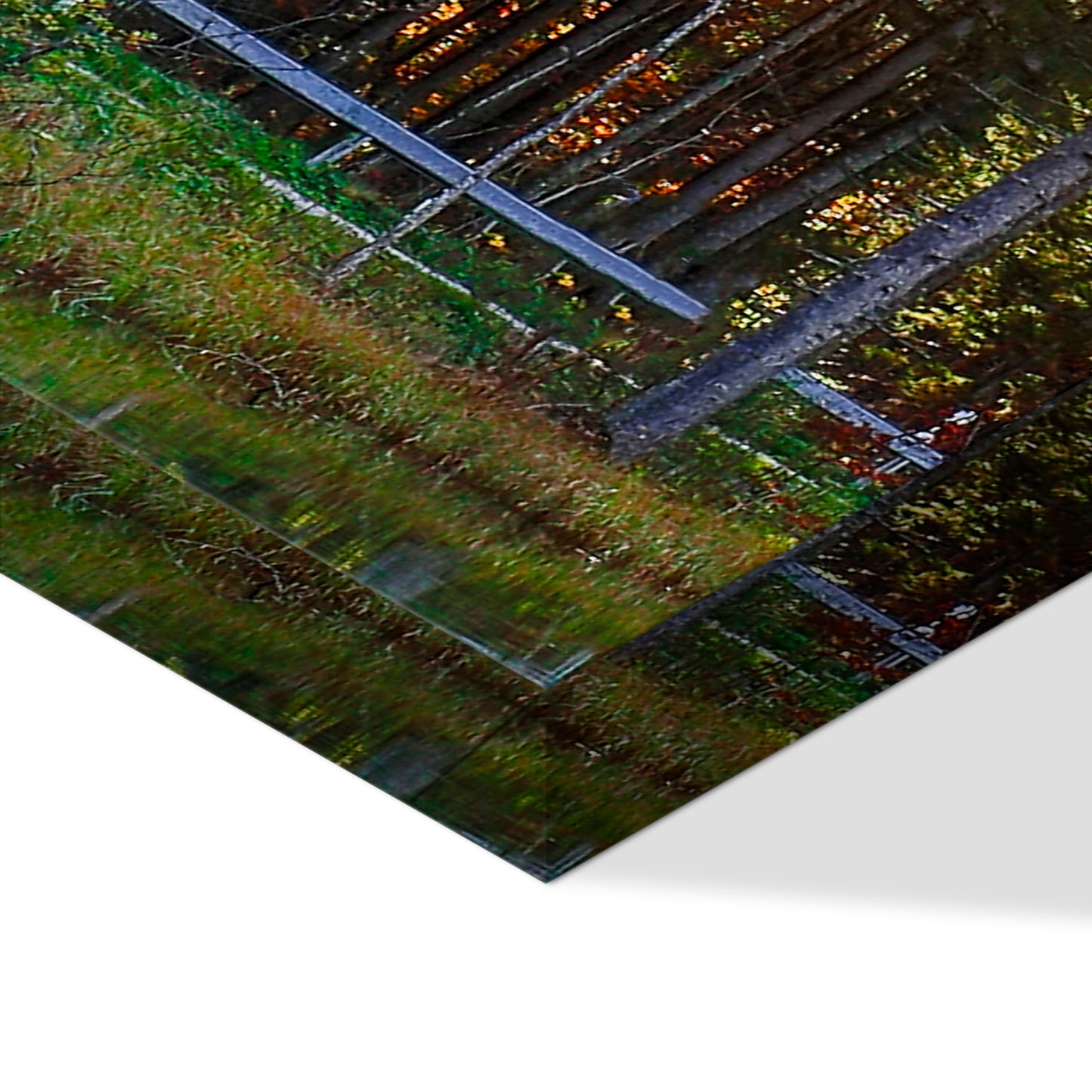 LUMASOUL Picture 100x50 Nature Modern 