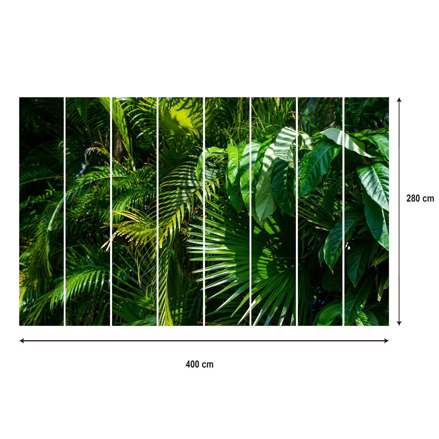 LUMASOUL Fototapeta Flizelina Rozmiar 100x70 Motyw Natura