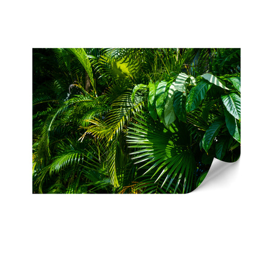 LUMASOUL Fototapeta Flizelina Rozmiar 100x70 Motyw Natura