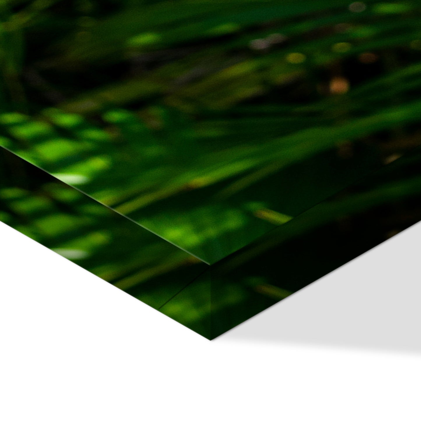 LUMASOUL Obraz 100x50 Natura Jungle