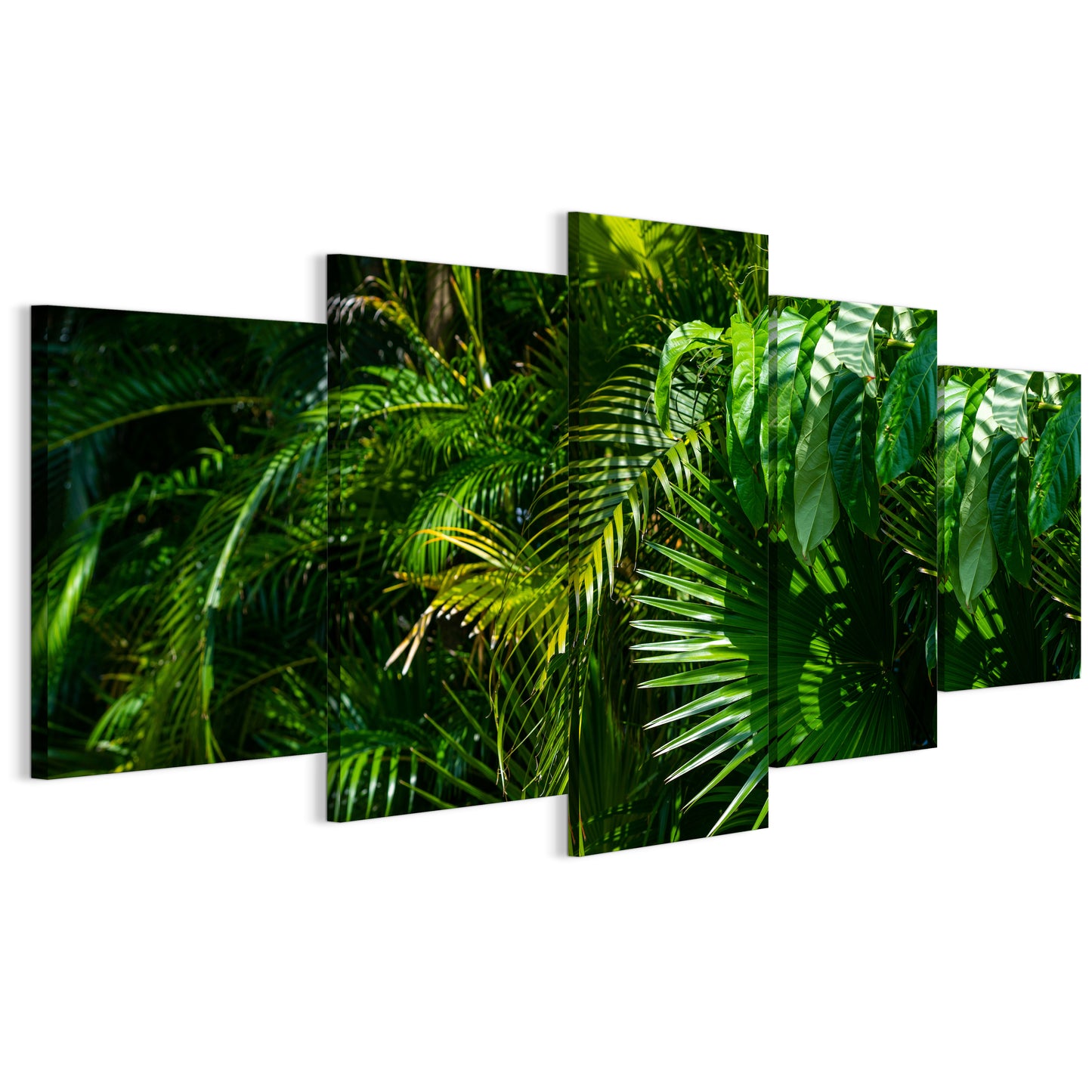 LUMASOUL Obraz 100x50 Natura Jungle