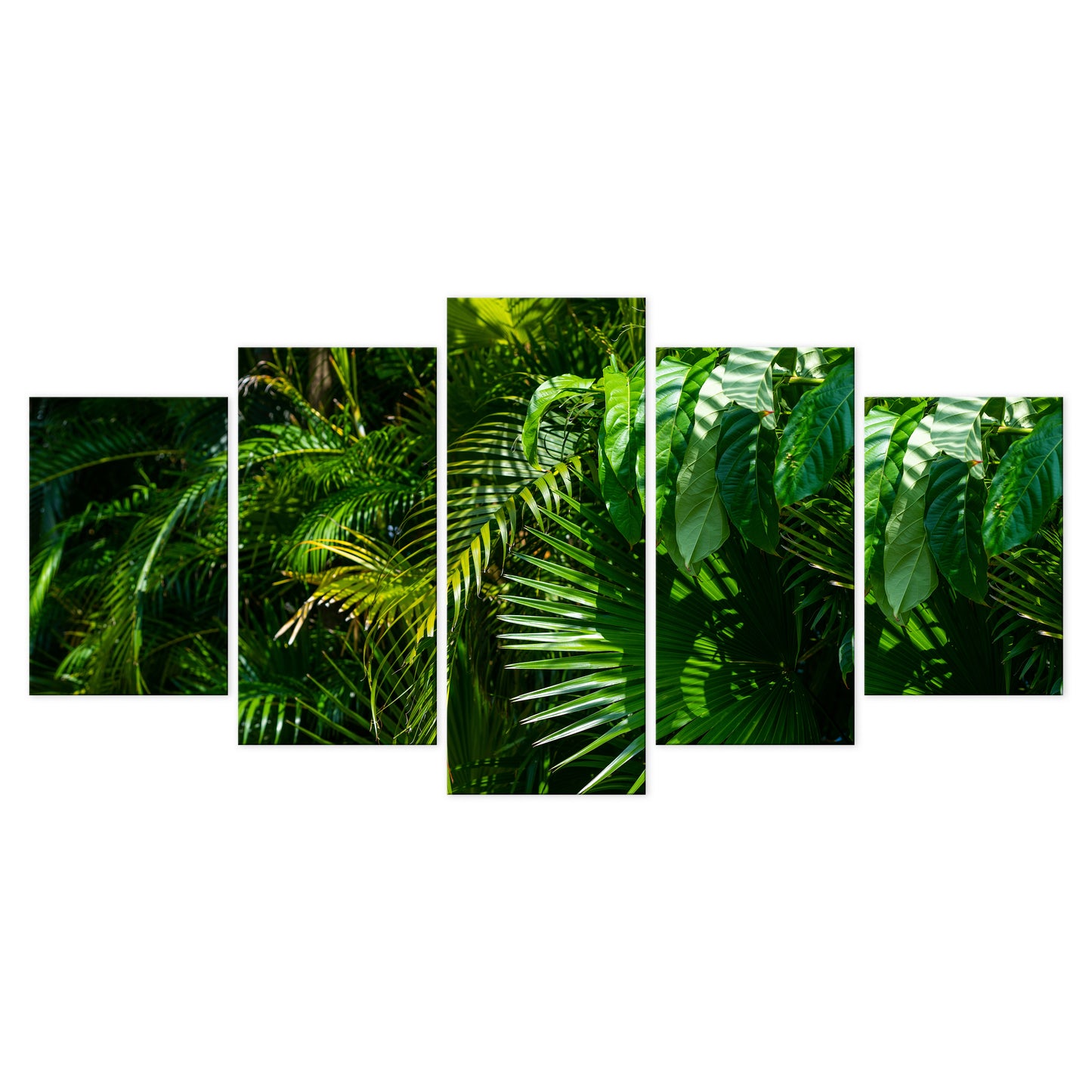 LUMASOUL Obraz 100x50 Natura Jungle