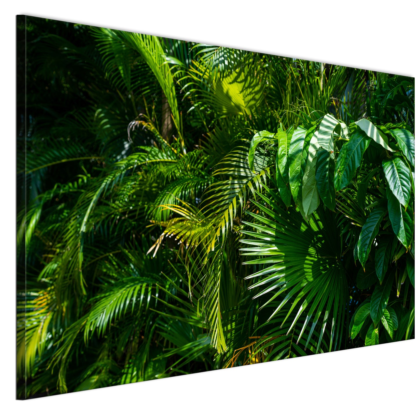 LUMASOUL Obraz 120x80 Natura Jungle