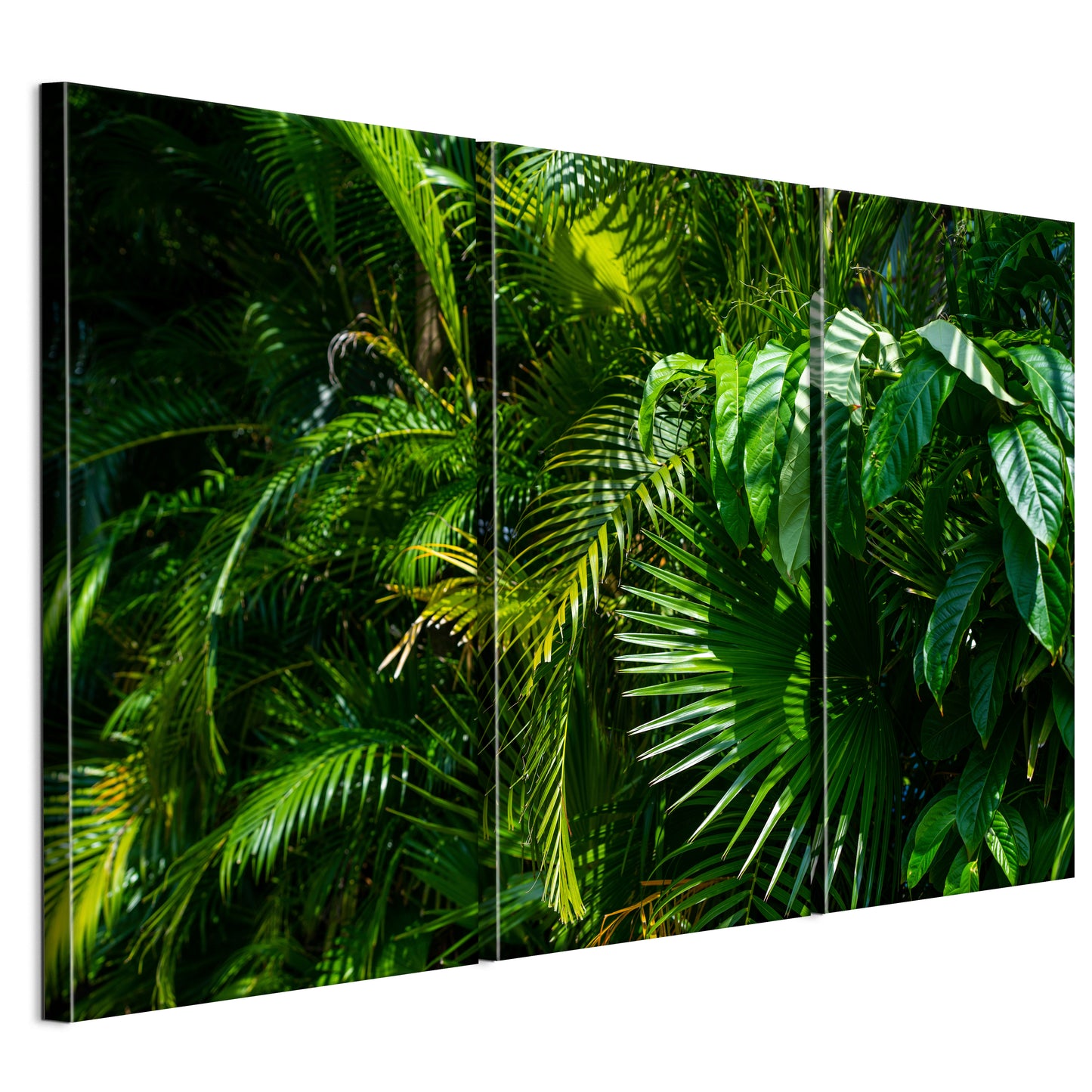 LUMASOUL Obraz 120x80 Natura Jungle