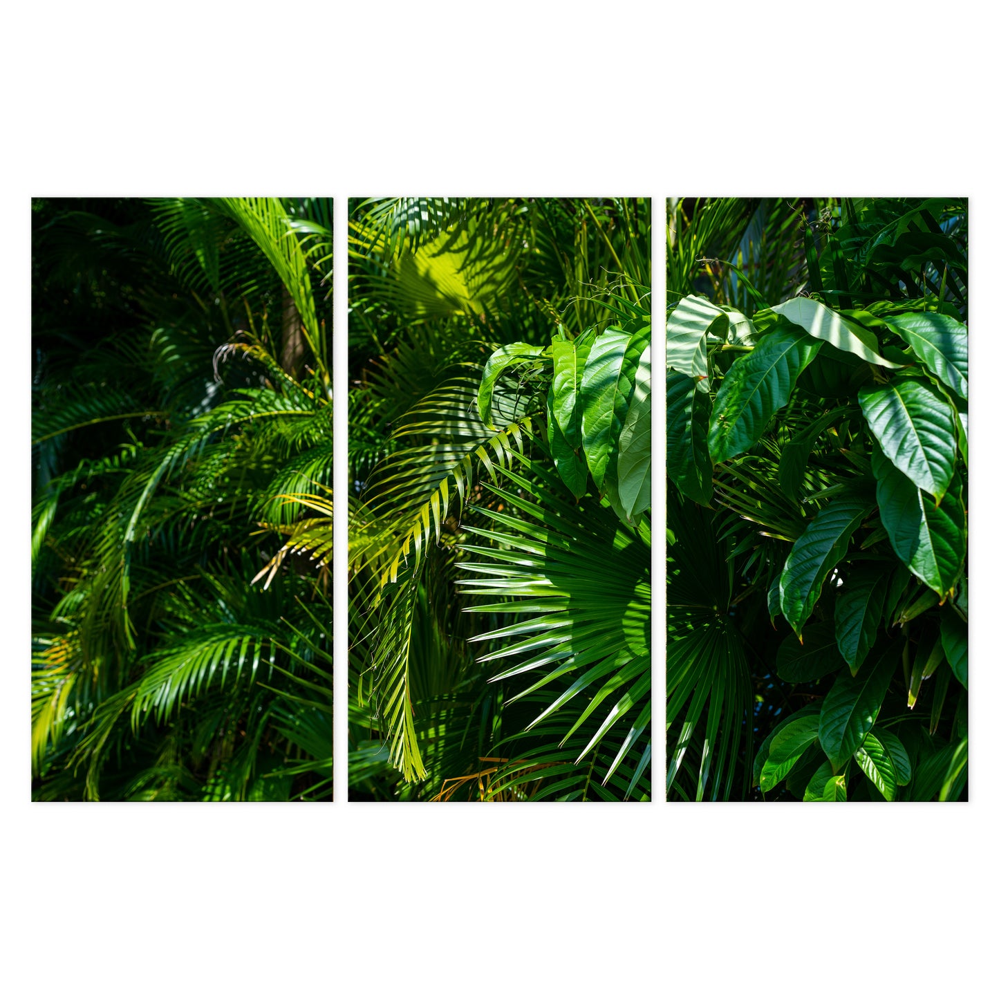 LUMASOUL Obraz 120x80 Natura Jungle