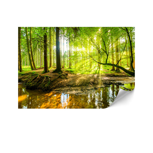 LUMASOUL Fototapeta Flizelina Rozmiar 100x70 Motyw Natura