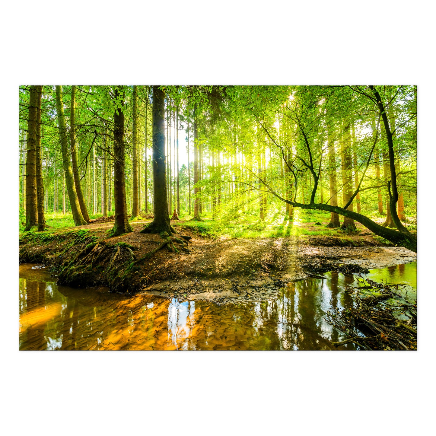 LUMASOUL Obraz 120x80 Natura Eklektyczny