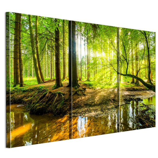 LUMASOUL Obraz 120x80 Natura Eklektyczny