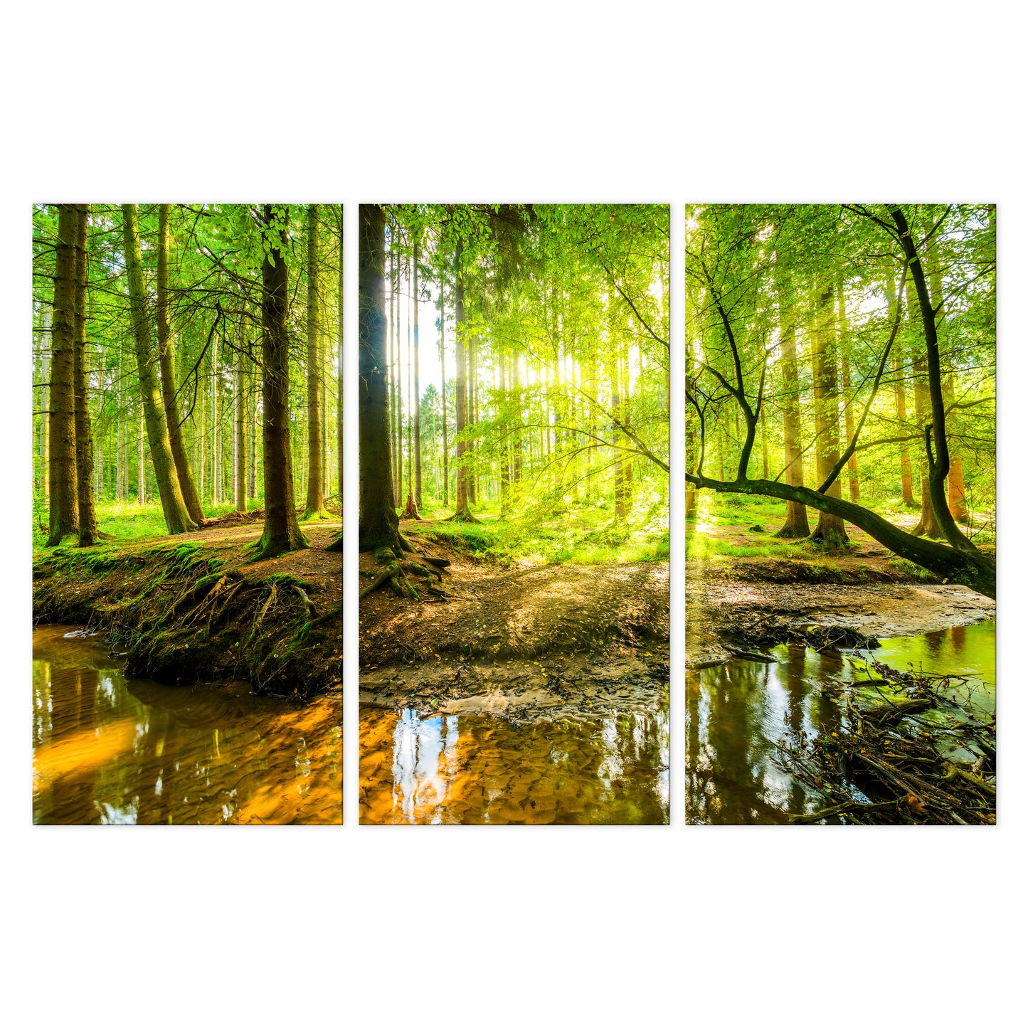 LUMASOUL Obraz 120x80 Natura Eklektyczny