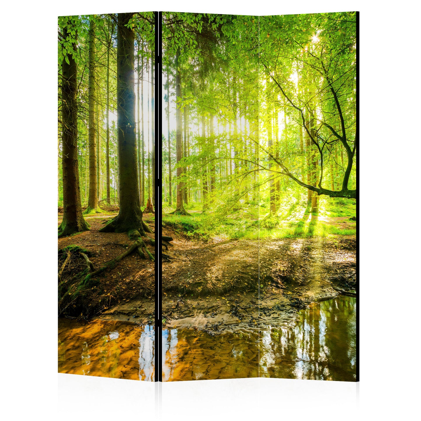 LUMASOUL Parawan natura Eklektyczny