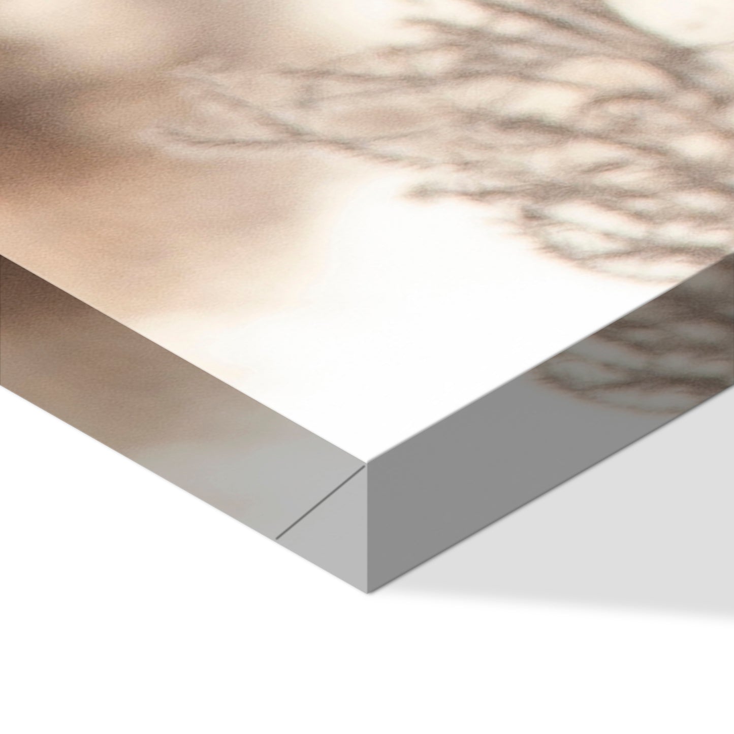 LUMASOUL Obraz 100x50 Natura Boho