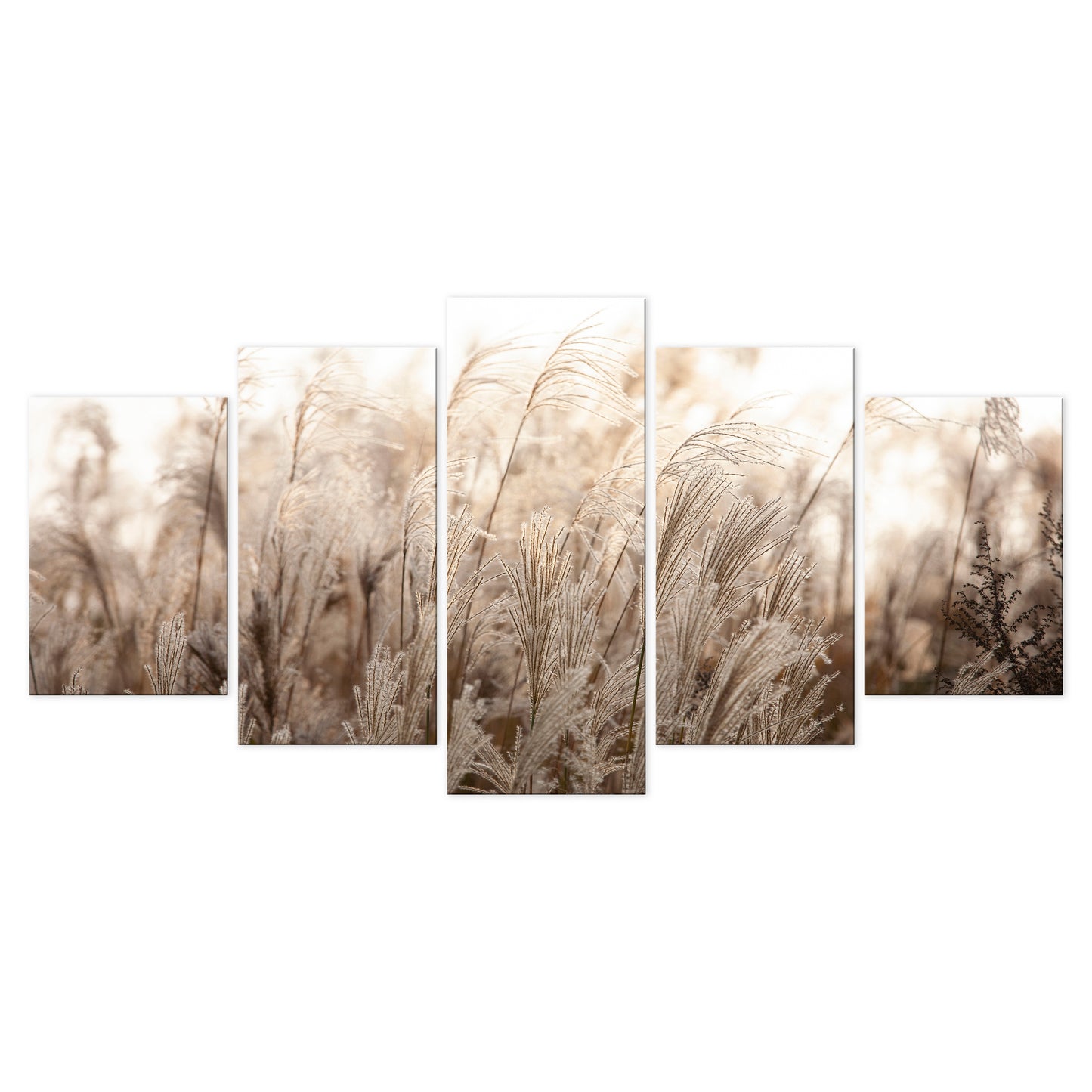 LUMASOUL Obraz 100x50 Natura Boho