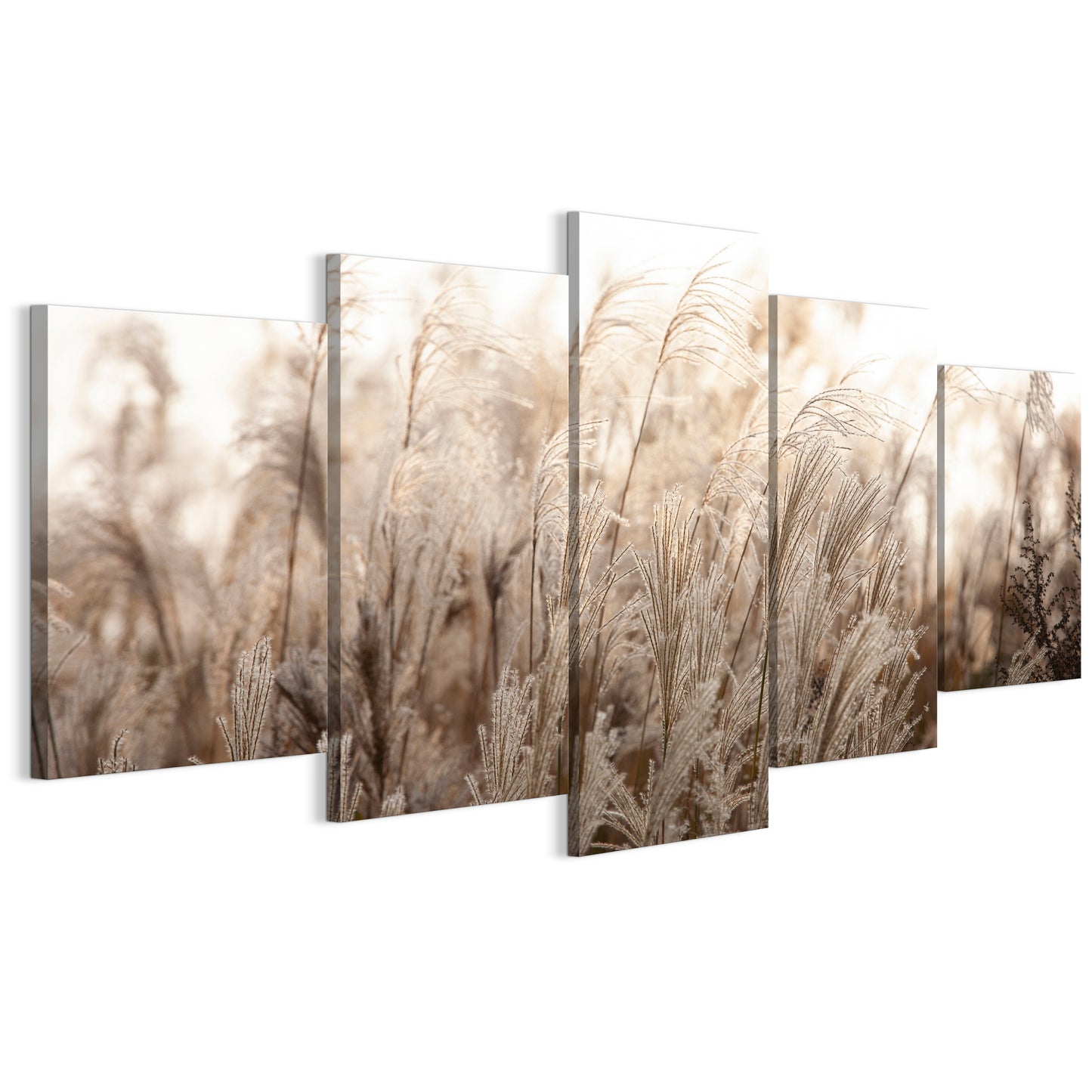 LUMASOUL Obraz 100x50 Natura Boho