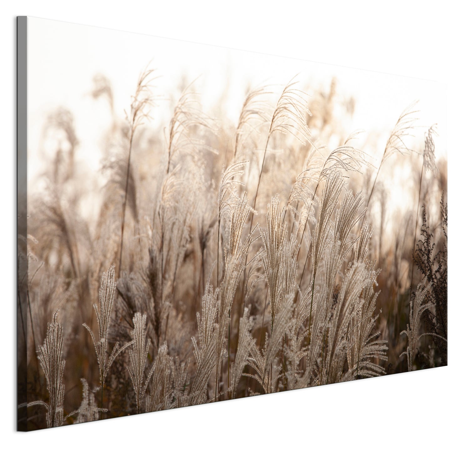 LUMASOUL Obraz 120x80 Natura Boho