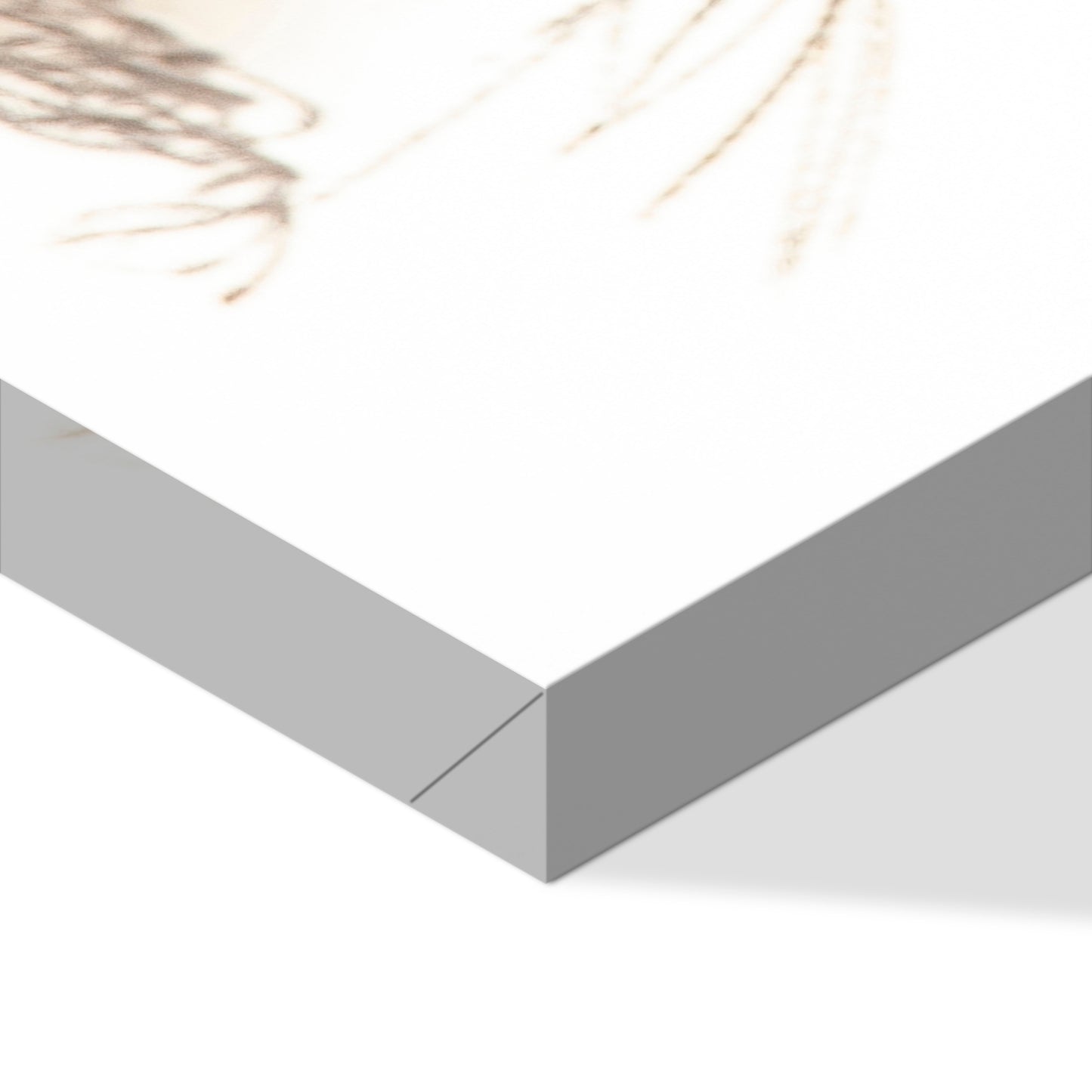 LUMASOUL Obraz 120x80 Natura Boho