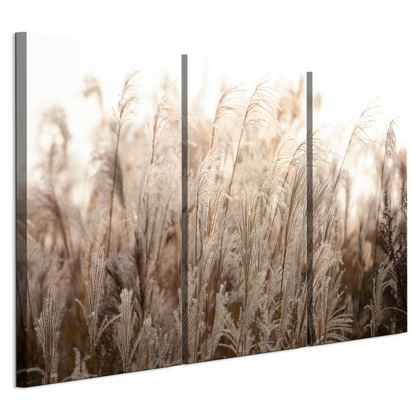 LUMASOUL Obraz 120x80 Natura Boho