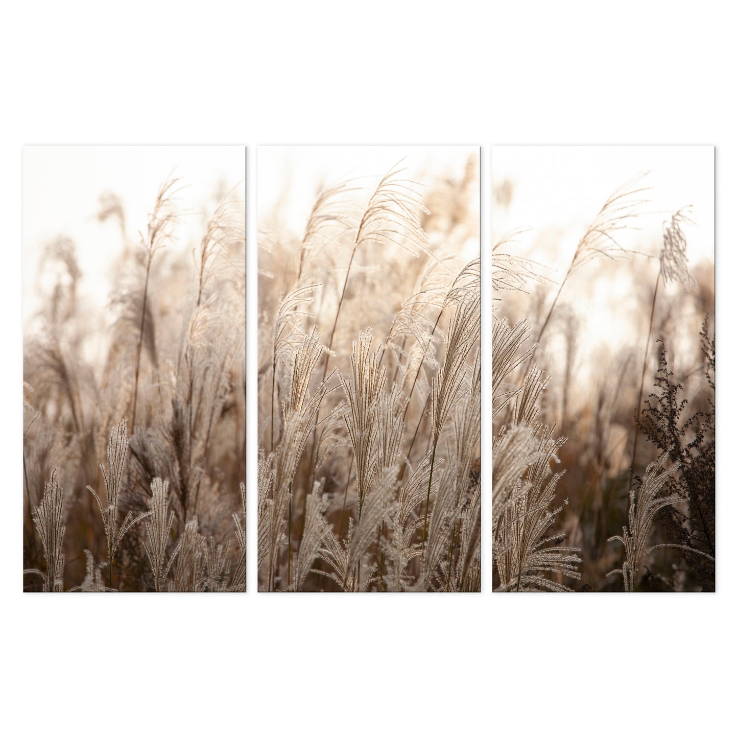 LUMASOUL Obraz 120x80 Natura Boho