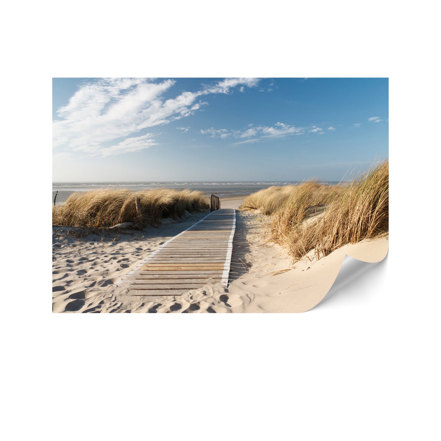 LUMASOUL Fototapeta Flizelina Rozmiar 100x70 Motyw Natura