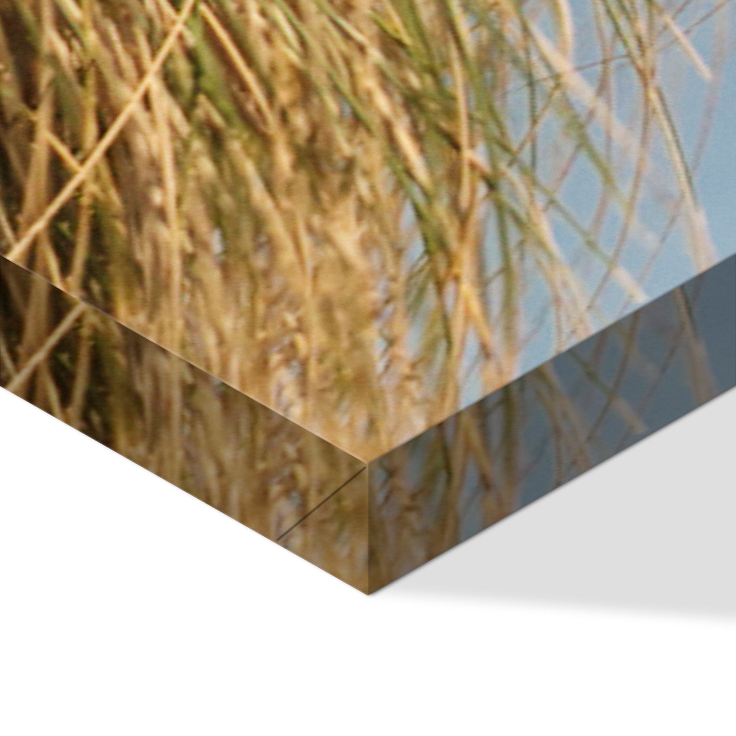 LUMASOUL Obraz 100x50 Natura Eklektyczny