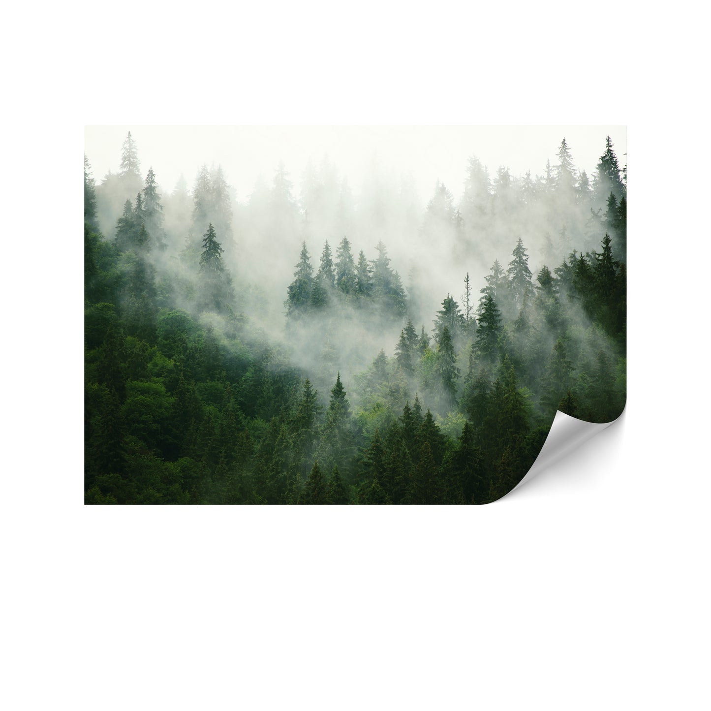 LUMASOUL Fototapeta Flizelina Rozmiar 100x70 Motyw Natura