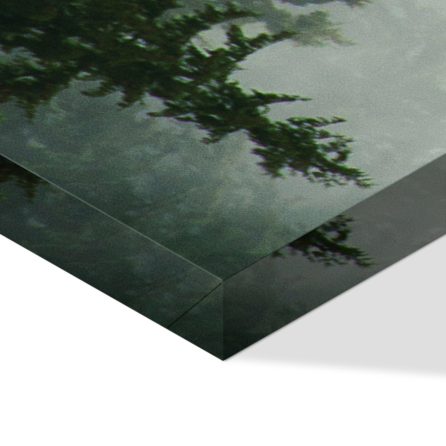 LUMASOUL Obraz 100x50 Natura Eklektyczny