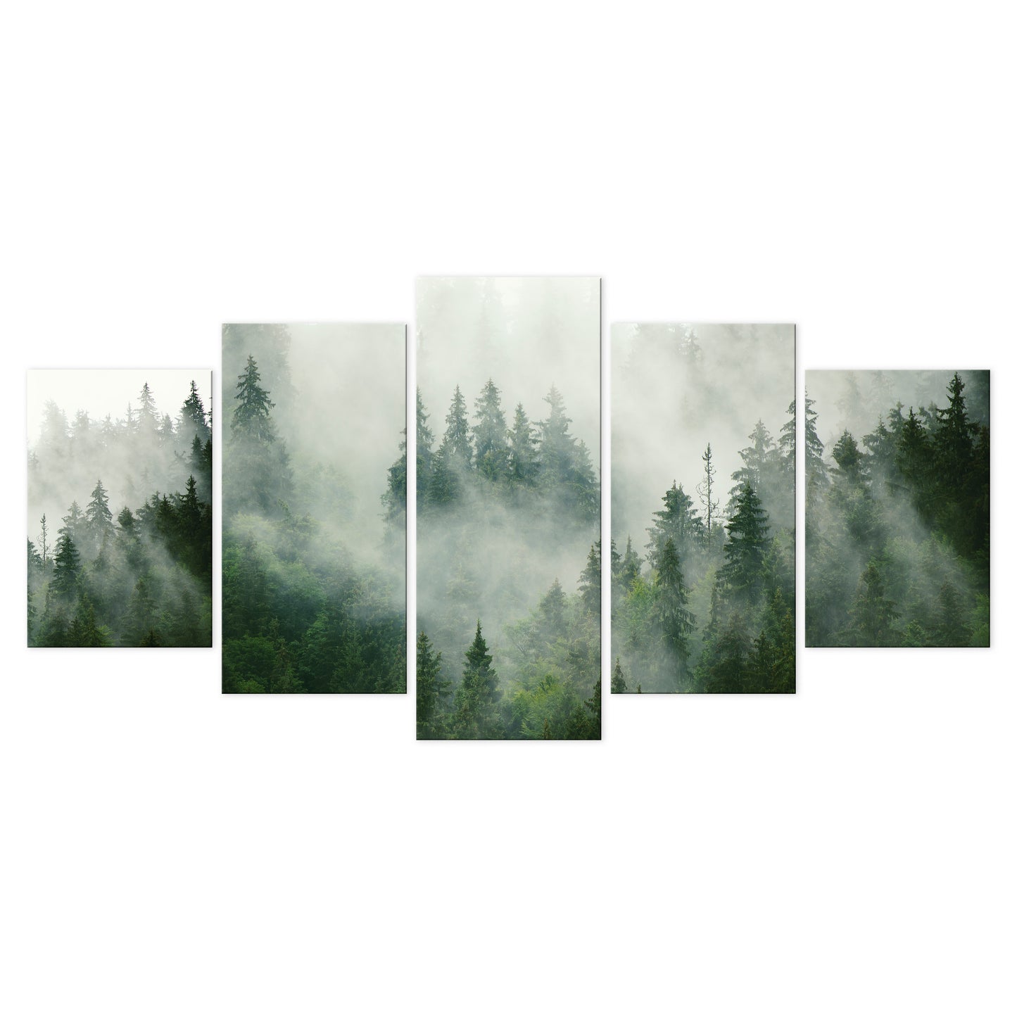 LUMASOUL Obraz 100x50 Natura Eklektyczny