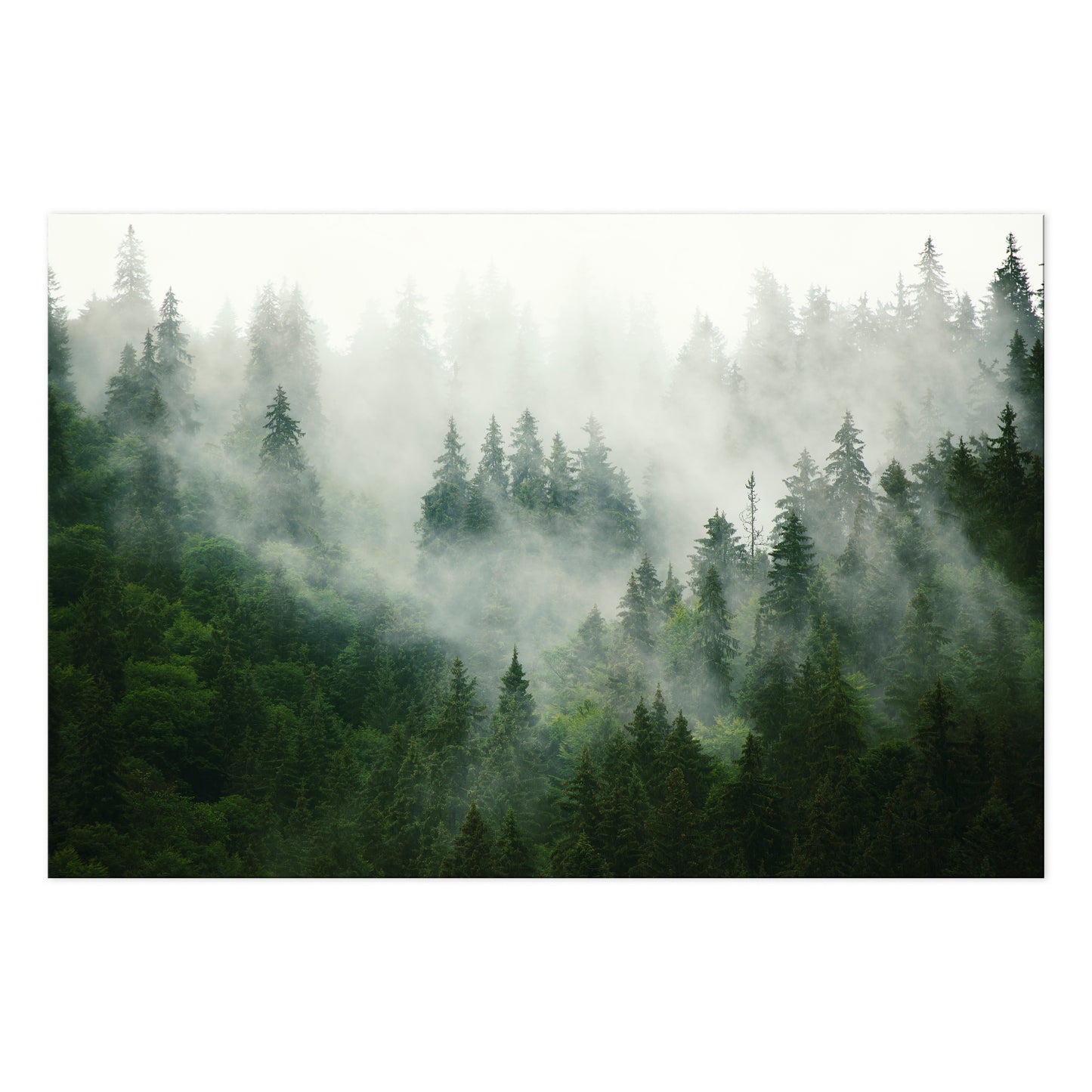 LUMASOUL Obraz 120x80 Natura Eklektyczny