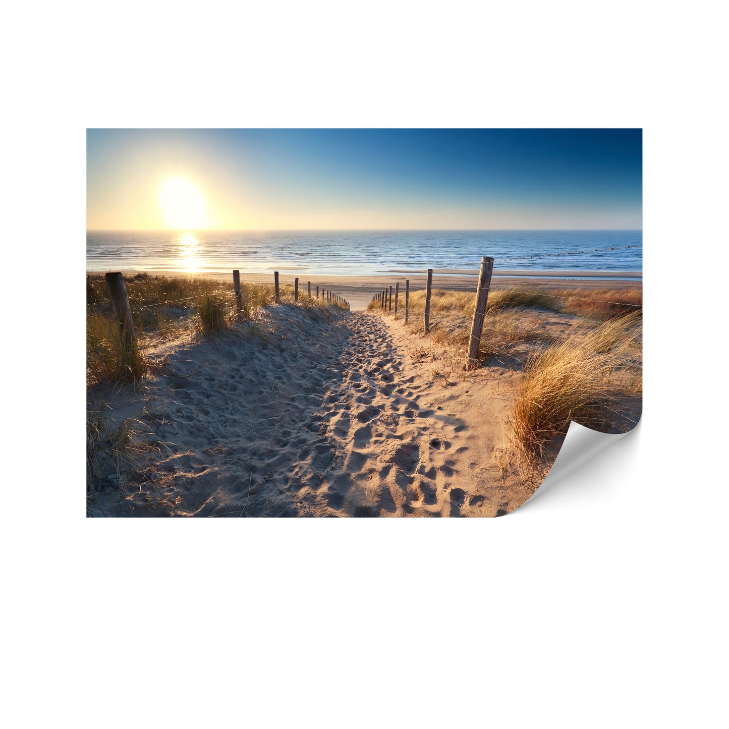 LUMASOUL Fototapeta Flizelina Rozmiar 100x70 Motyw Natura