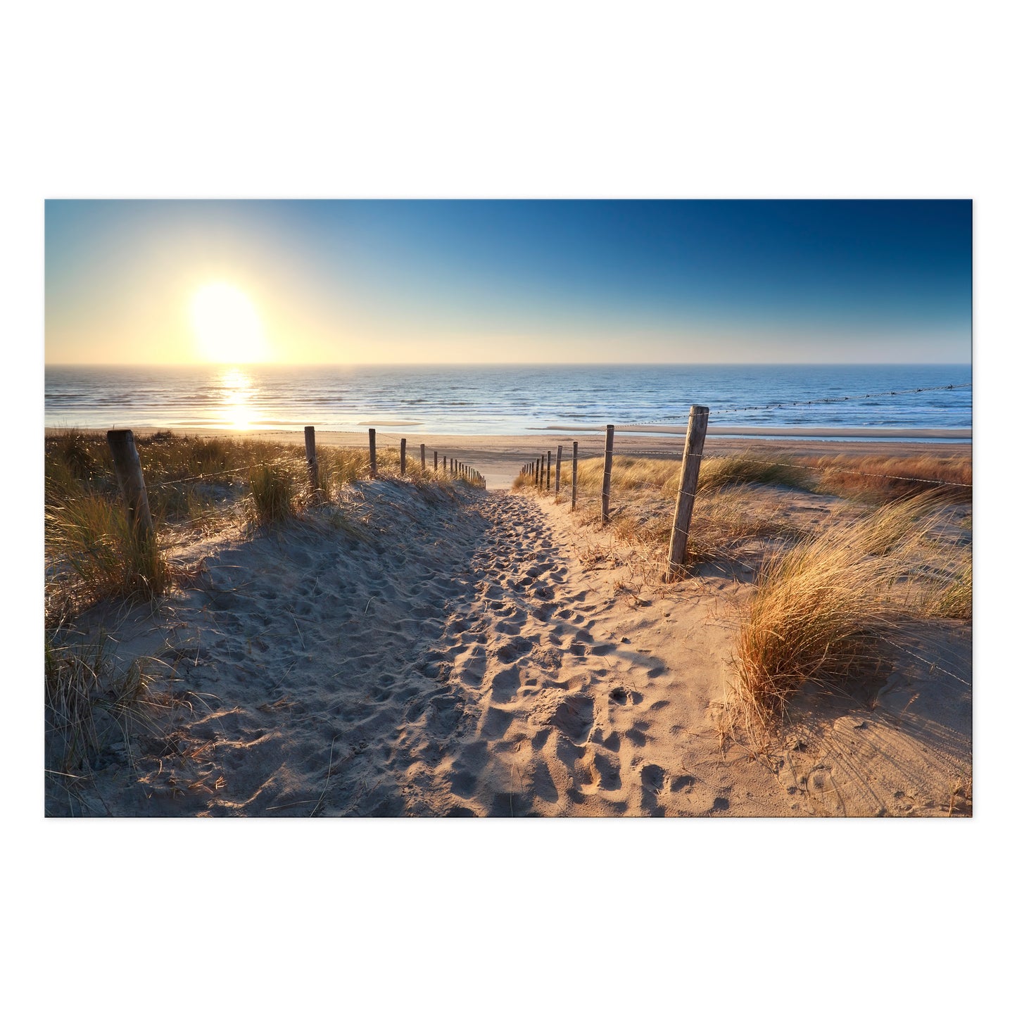 LUMASOUL Obraz 120x80 Natura Eklektyczny