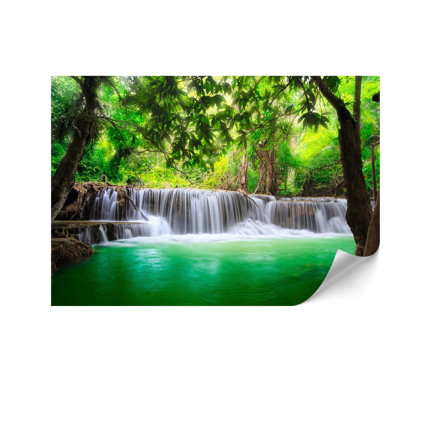 LUMASOUL Fototapeta Flizelina Rozmiar 100x70 Motyw Natura