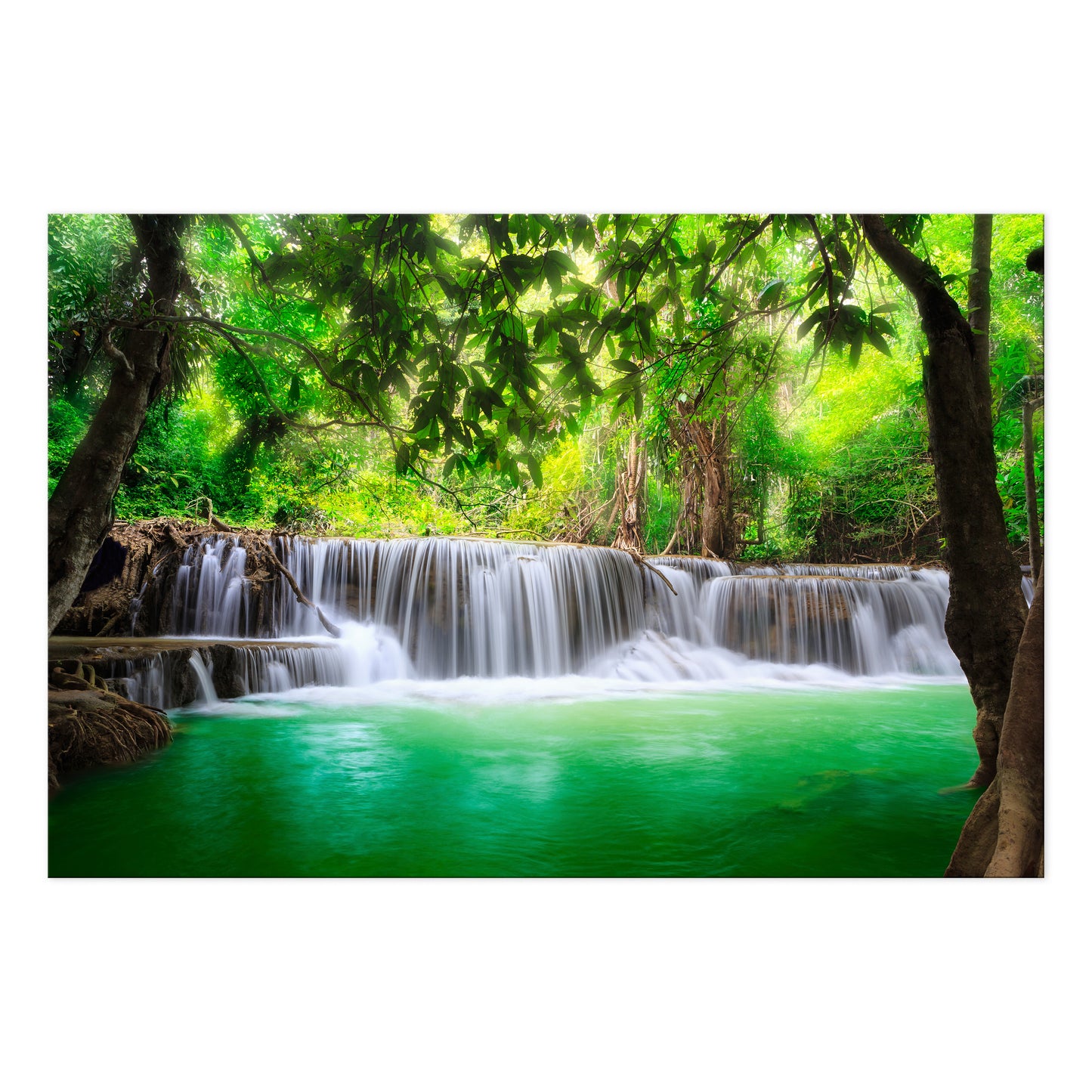 LUMASOUL Obraz 120x80 Natura Eklektyczny