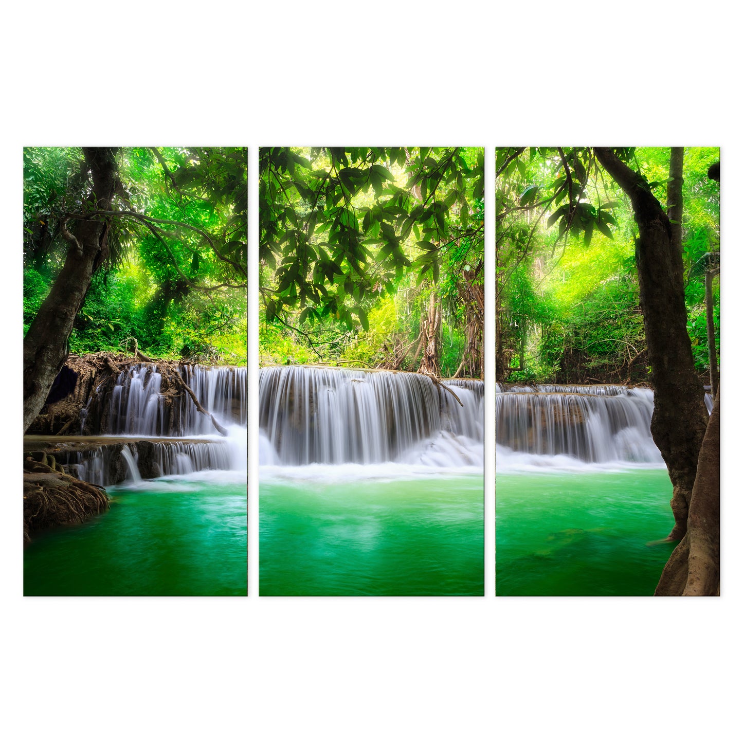 LUMASOUL Obraz 120x80 Natura Eklektyczny