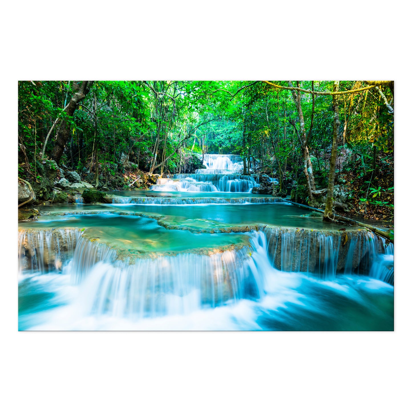 LUMASOUL Obraz 120x80 Natura Eklektyczny