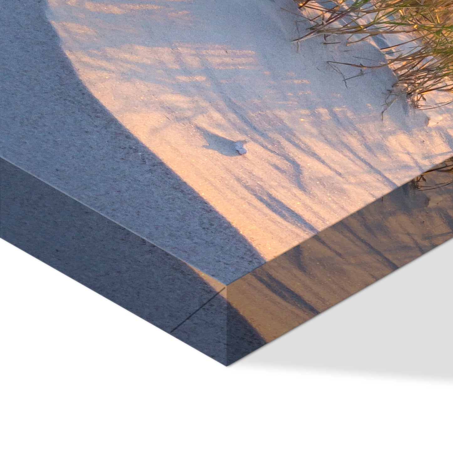 LUMASOUL Obraz 120x80 Natura Eklektyczny