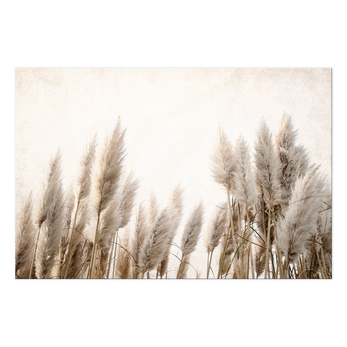 LUMASOUL Obraz 120x80 Natura BOHO