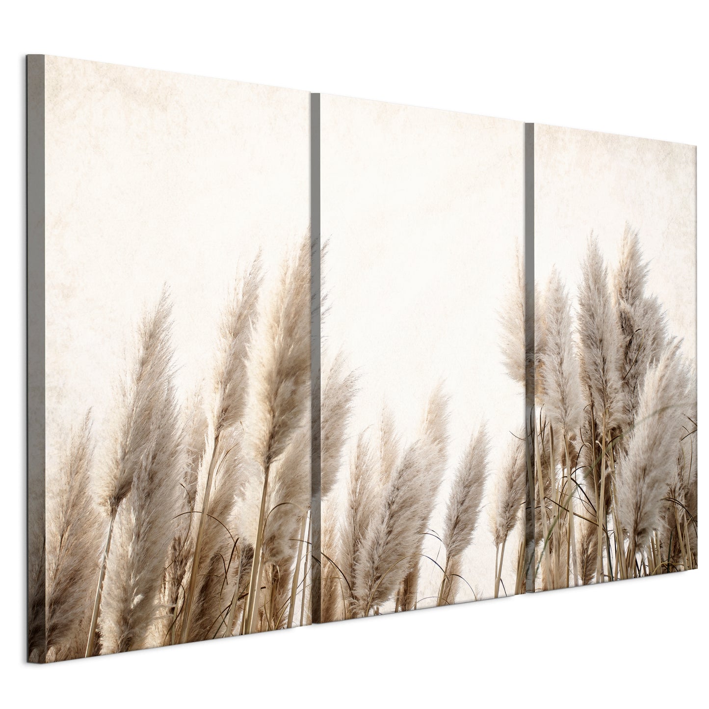 LUMASOUL Obraz 120x80 Natura Boho