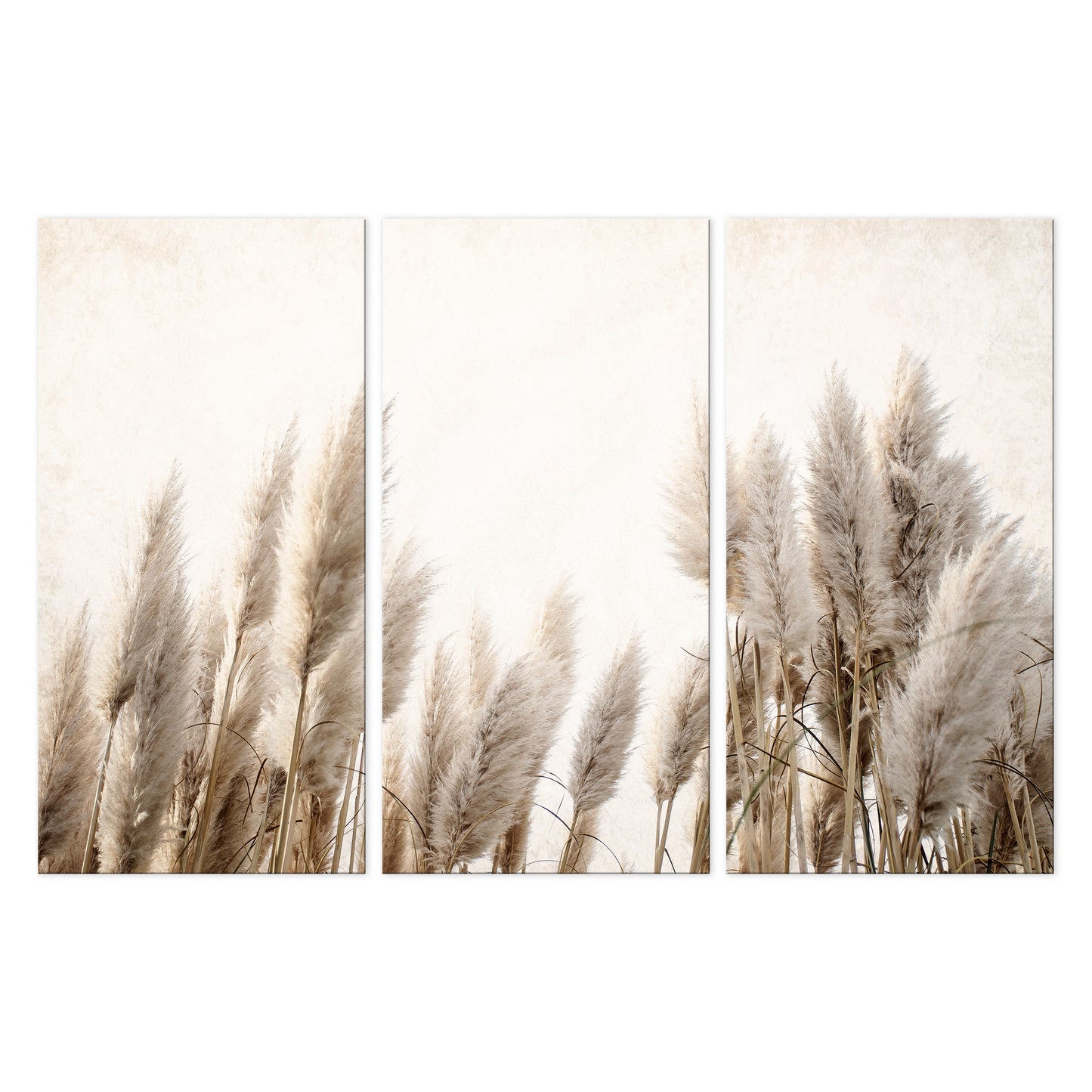 LUMASOUL Obraz 120x80 Natura Boho