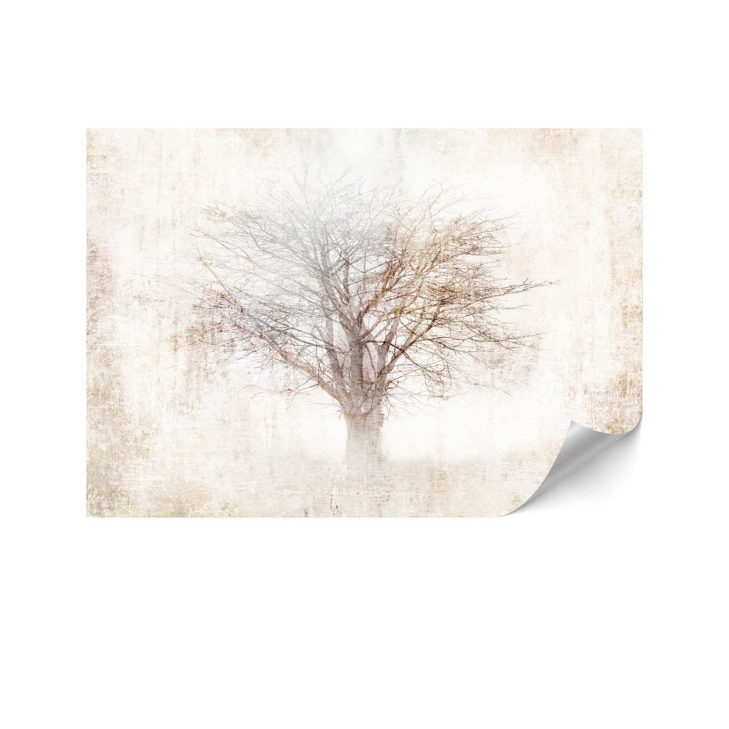 LUMASOUL Fototapeta Flizelina premium Rozmiar 100x70 Motyw Natura