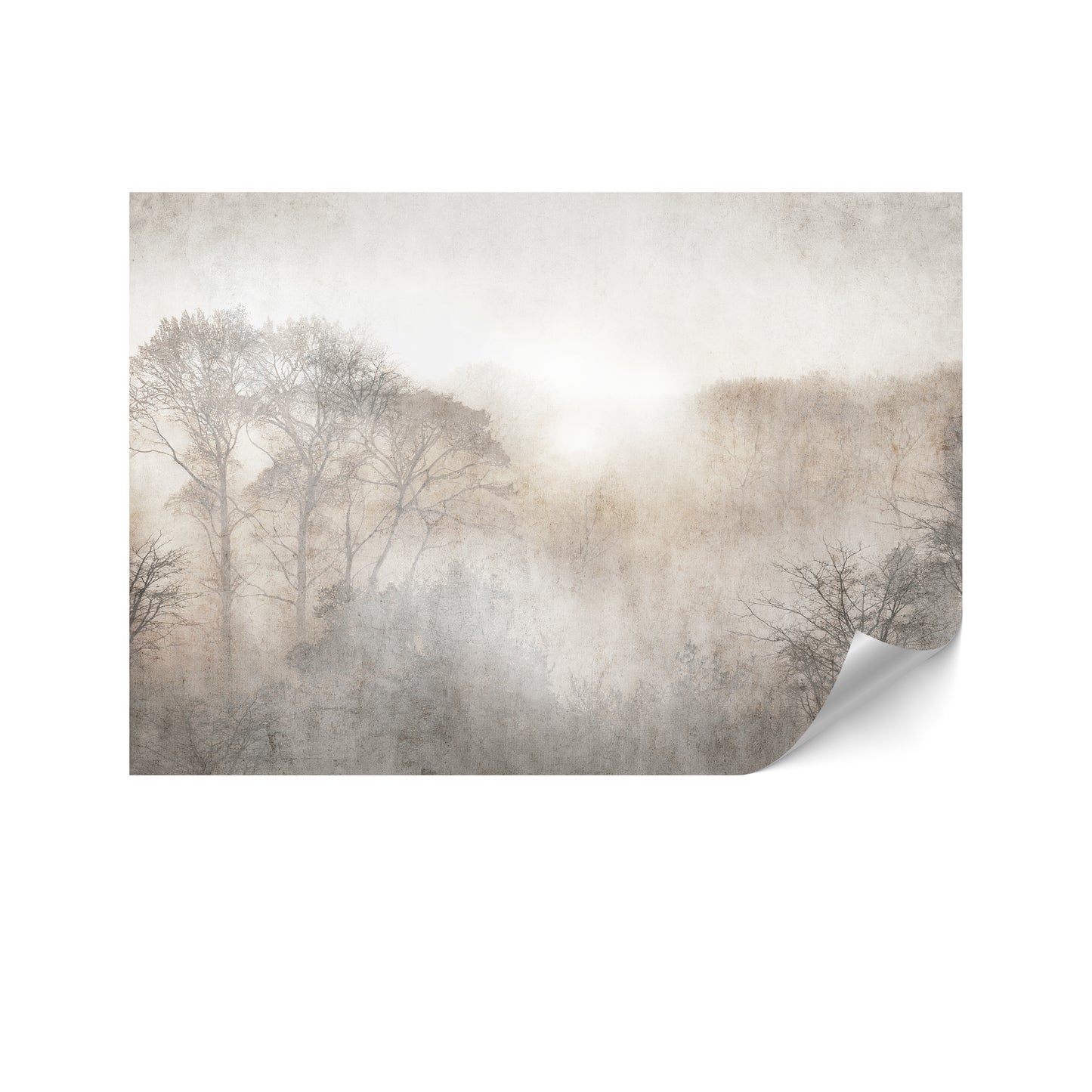 LUMASOUL Fototapeta Flizelina Rozmiar 100x70 Motyw NATURA