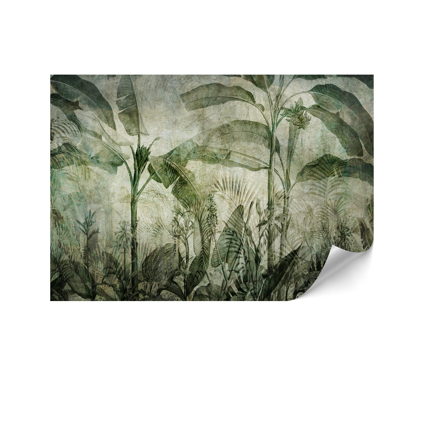 LUMASOUL Fototapeta Flizelina Rozmiar 100x70 Motyw Natura