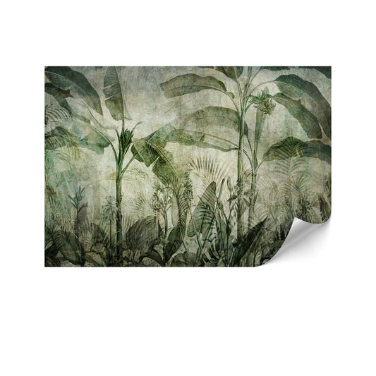 LUMASOUL Fototapeta Flizelina Rozmiar 100x70 Motyw Natura