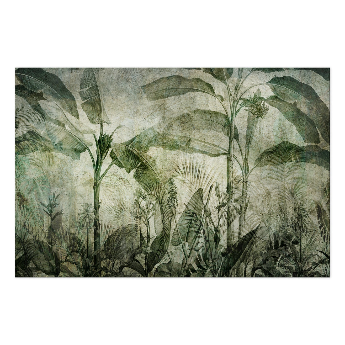 LUMASOUL Obraz 120x80 Natura Urban jungle